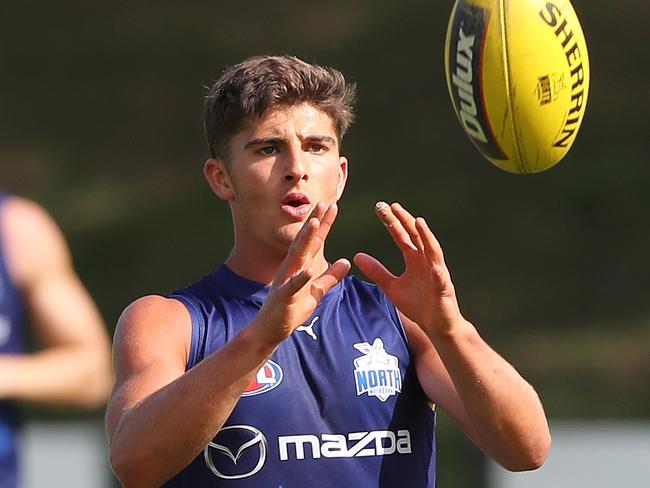 Harry Sheezel will spend more time in the midfield and even up forward in 2025. Picture: David Crosling