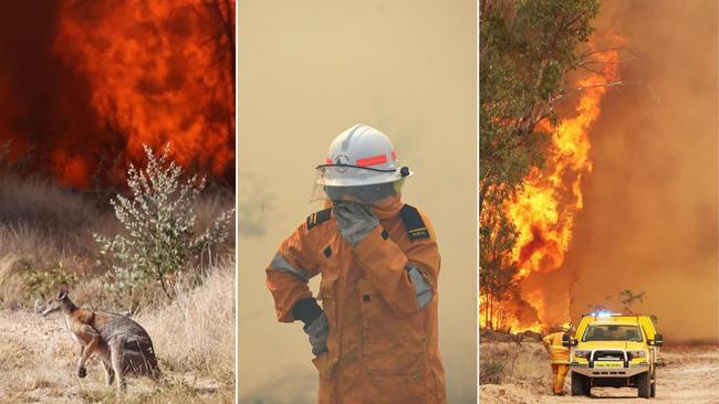 Queensland 2023 Summer fires. Picture: File