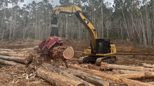 Reduced yield: Ten months of DELWP delays in salvaging windblown trees in the Wombat Forest means many of the smaller logs are already cracked, reducing saw log yields.