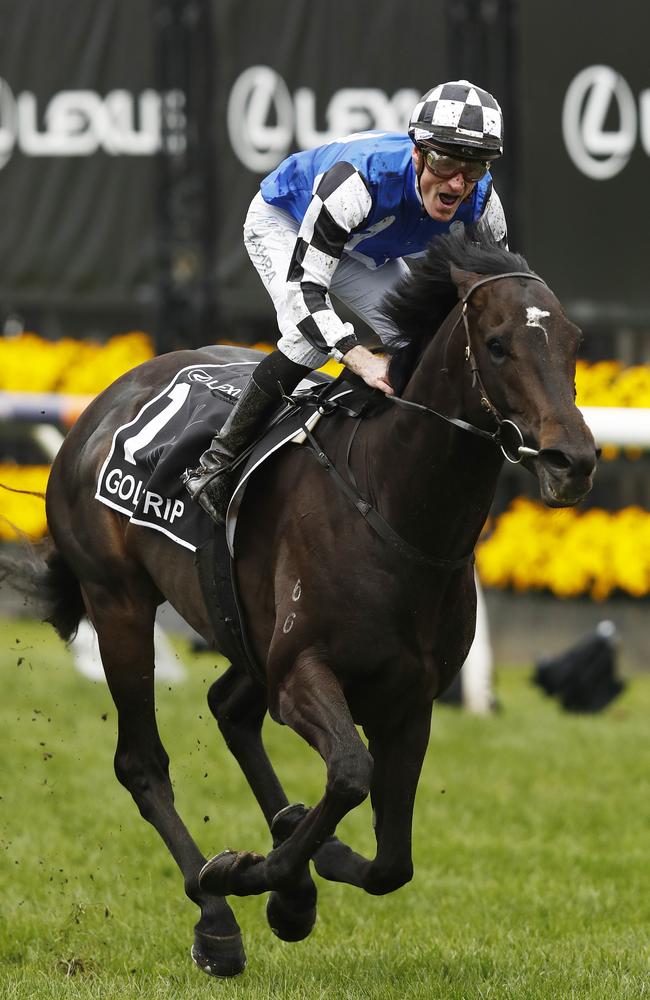 Mark Zahra rides Gold Trip to the line.