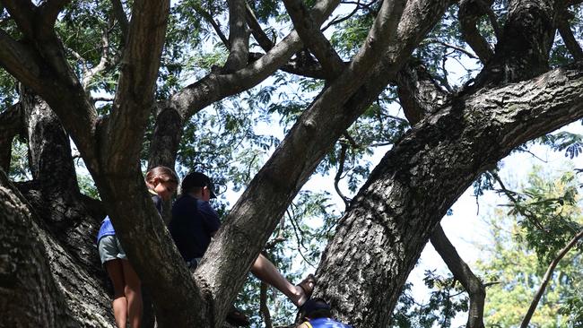 People watch from the trees during the Freedom Rally in the Brisbane CBD on Saturday. Picture: Annette Dew