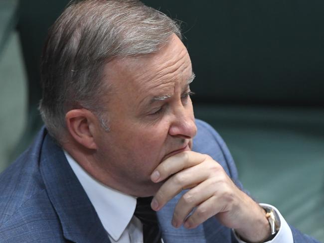 CANBERRA, AUSTRALIA - FEBRUARY 11: Opposition Leader Anthony Albanese during Question Time in the House of Representatives at Parliament House on February 11, 2020 in Canberra, Australia. The Prime Minister Scott Morrison began with a statement on indulgence on the coronavirus.  (Photo by Tracey Nearmy/Getty Images)