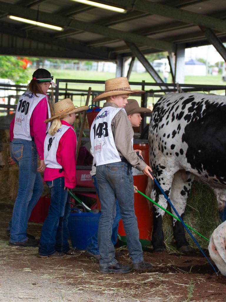 In between lessons the students spent time checking on their cattle.