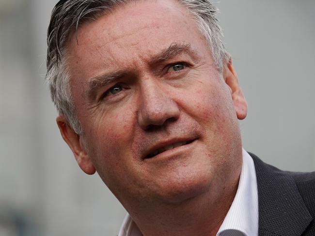 Collingwood Football Club President Eddie McGuire speaks during an announcement at the MCG in Melbourne, Wednesday, May 8, 2019. AFL clubs Hawthorn and Collingwood have joined forces to create the 'Emergency Services Match' to help improve support and appreciation of Victoria's emergency workers. (AAP Image/Stefan Postles) NO ARCHIVING