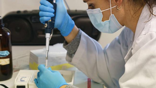 A researcher at the Institute of Molecular Biology and Genetics (IBGM) of the University of Valladolid (UVa) works on searching a vaccine against COVID-19, at a laboratory in Valladolid on November 10, 2020. (Photo by Cesar Manso / AFP)