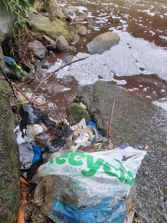 Rubbish has been dumped in the Hobart Rivulet where multiple platypuses have died because of litter. Photo: Hobart Rivulet Platypus/Pete Walsh