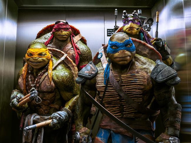 Turtle power ... Michelangelo, Raphael, Leonardo, and Donatello.