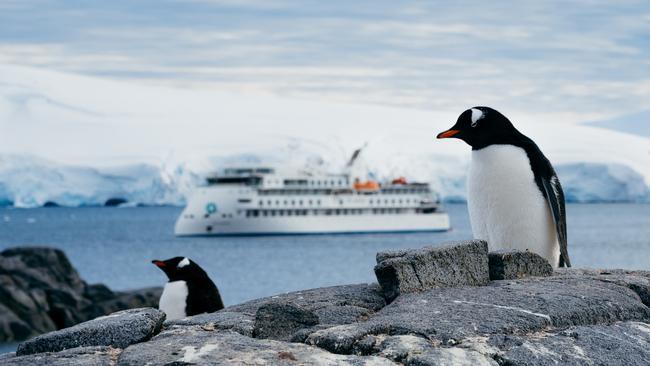 Aurora Expeditions at Jougla Point, Antarctica. Picture: Matt Horspool