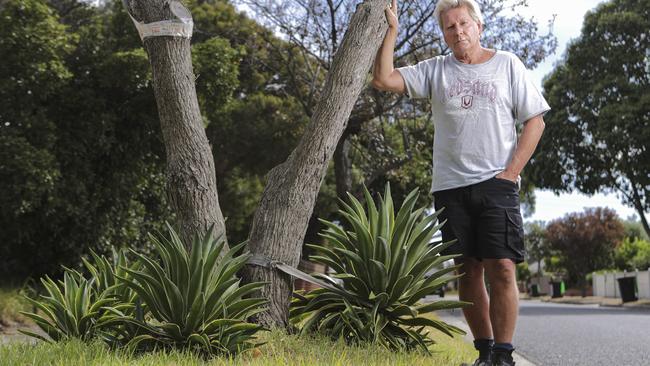 Cheltenham’s Scott West is furious Kingston Council has ordered him to remove the spiky agaves he planted on his nature strip. Picture: Wayne Taylor