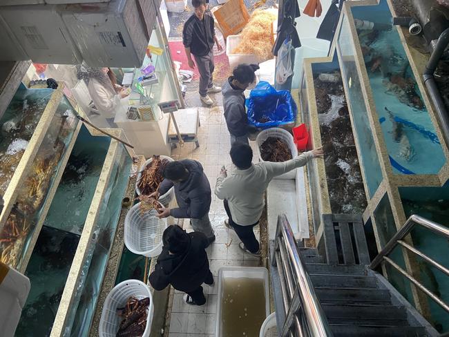 Inside a store at Jingshen wholesale seafood market. Picture: Will Glasgow