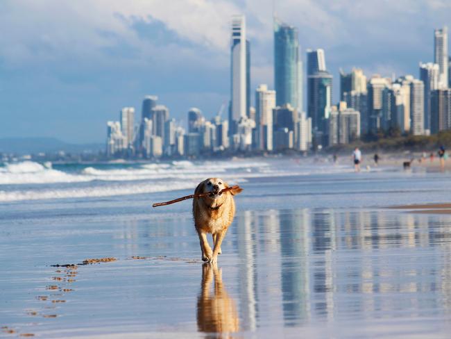 MAGGIE: Maggie’s favourite place in the whole world is the Spit at Main Beach #goldcoastlife