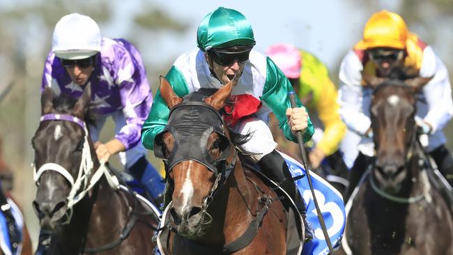 Josh Parr celebrates after Castelvecchio stormed home to win the Inglis Millennium. Picture: Getty Images 