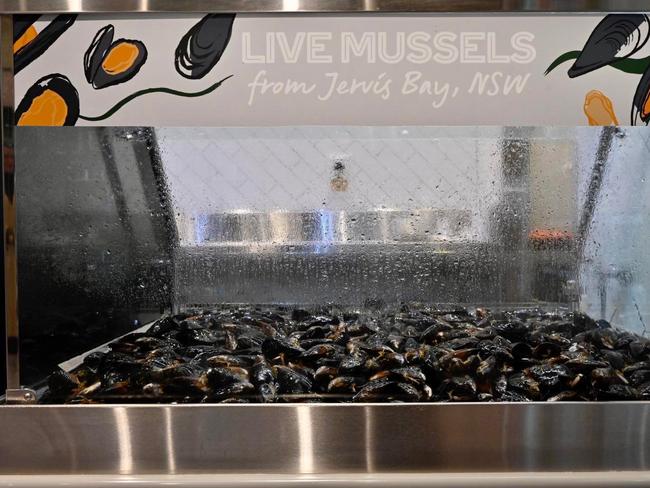 Mussel farming is regarded as one of the world‘s most sustainable methods of food production. Photo: Woolworths