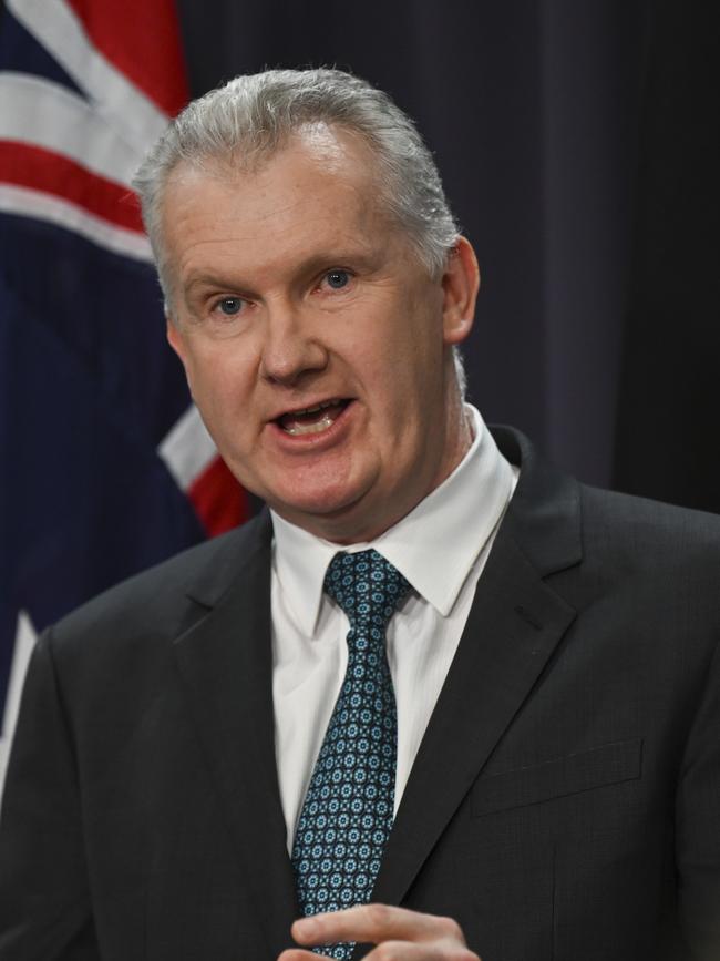 Home Affairs Minister Tony Burke. Picture: NewsWire/Martin Ollman