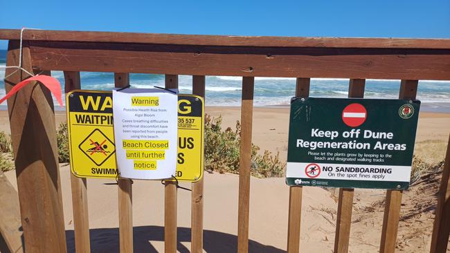 Waitpinga Beach was closed after surfers reported feeling ill after being in the water, as dead fish and seahorses washed ashore. Picture: Aden Hill