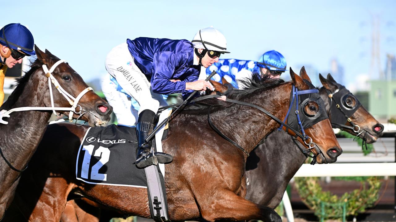 MELBOURNE, AUSTRALIA - MAY 18: Damian Lane riding The Map winning in Race 8, the Lexus Andrew Ramsden during Melbourne Racing at Flemington Racecourse on May 18, 2024 in Melbourne, Australia. (Photo by Vince Caligiuri/Getty Images)