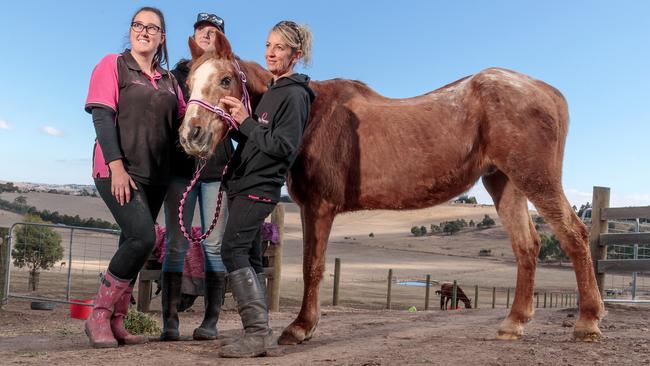 Whittlesea horse rescue group Cindy's Promise-Rescue and Rehab Inc fears it may have to shut down. Owner Cindy Cattach (right) and her assistants Jo and Bethany with Maverick, who they have been feeding back to health for six weeks. Picture: Mark Dadswell