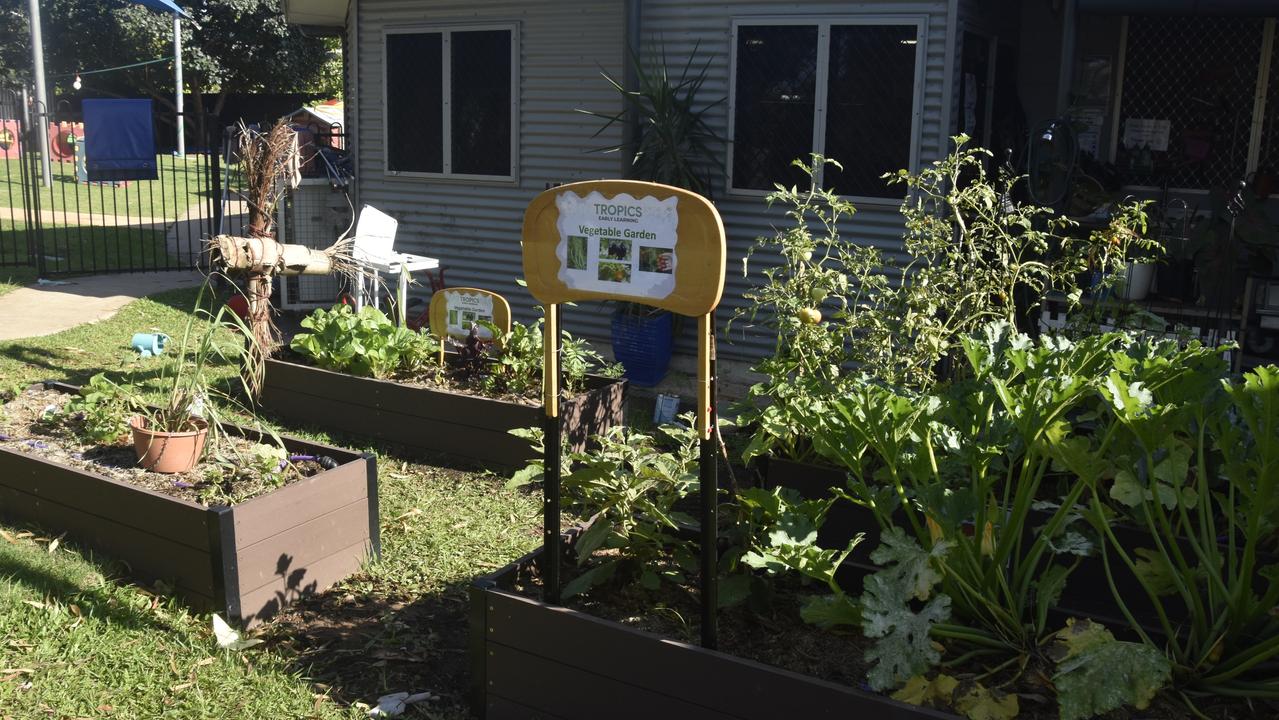 Malak edible garden teaches kids where their food comes from | NT News