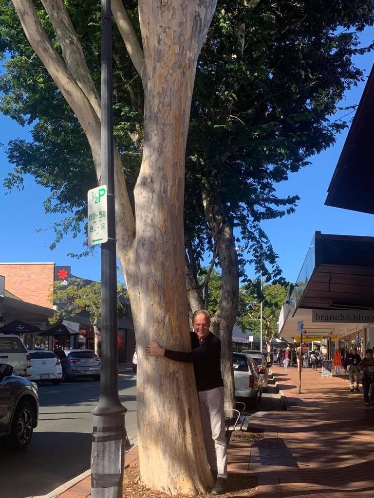 Gympie Chamber of Commerce president Tony Goodman says he is not a 'tree hugger' but that he does like trees, and he does not think the council should go ahead with its plan to remove two "beautiful, healthy' leopard trees in the centre of Mary Street.