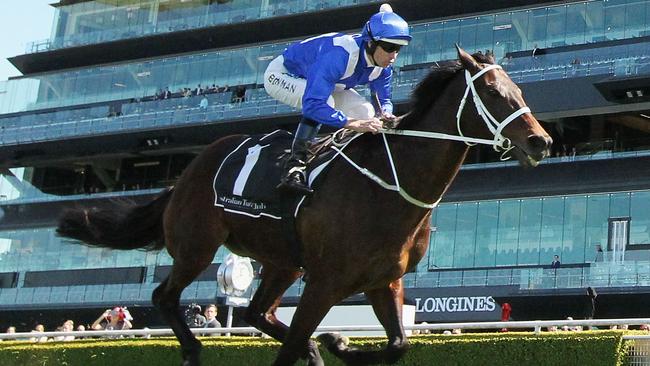 Winx has raised the bar to a new level during her record-breaking career. Picture: Getty Images 