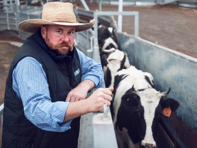 Farmer Jake Last, manager of the Western Victoria Livestock Exchange, with dairy cows on the way to Midfields Meat processing plant. HeÃs seen more livestock coming through, as farmers are offloading animals they can now longer feed. Jake- 0427008811