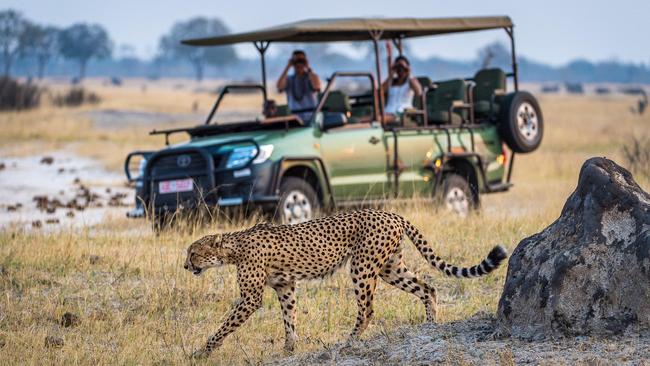 On safari at Mpala Jena, Zambezi National Park, Zimbabwe.