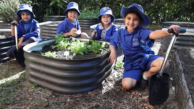 Students Hajera, Marc, Caitlyn and Yara is excited to dress in mufti to help farmers and learn more about farming with her school’s garden. Picture: Brett Costello