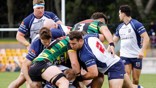 Gordon on their way to winning the Shute Shield against Eastwood. Pic: Karen Watson