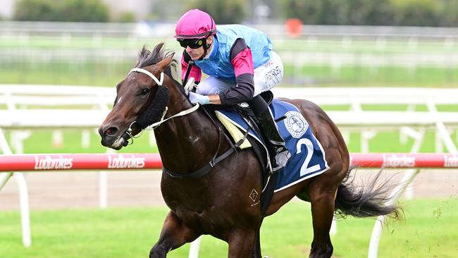 Two-year-old colt Astapor racing in Rodney Hay’s colours. Picture: Grant Peters/Trackside Photography.