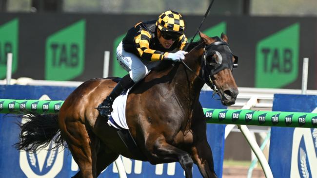 Grand Pierro will contest the Adelaide Cup for trainer Jason Warren. Picture: Vince Caligiuri/Getty Images