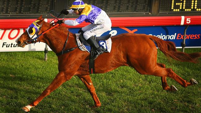 Robert Thompson drives The Jackal home to win a second Ramornie Handicap. Photo: The Daily Examiner