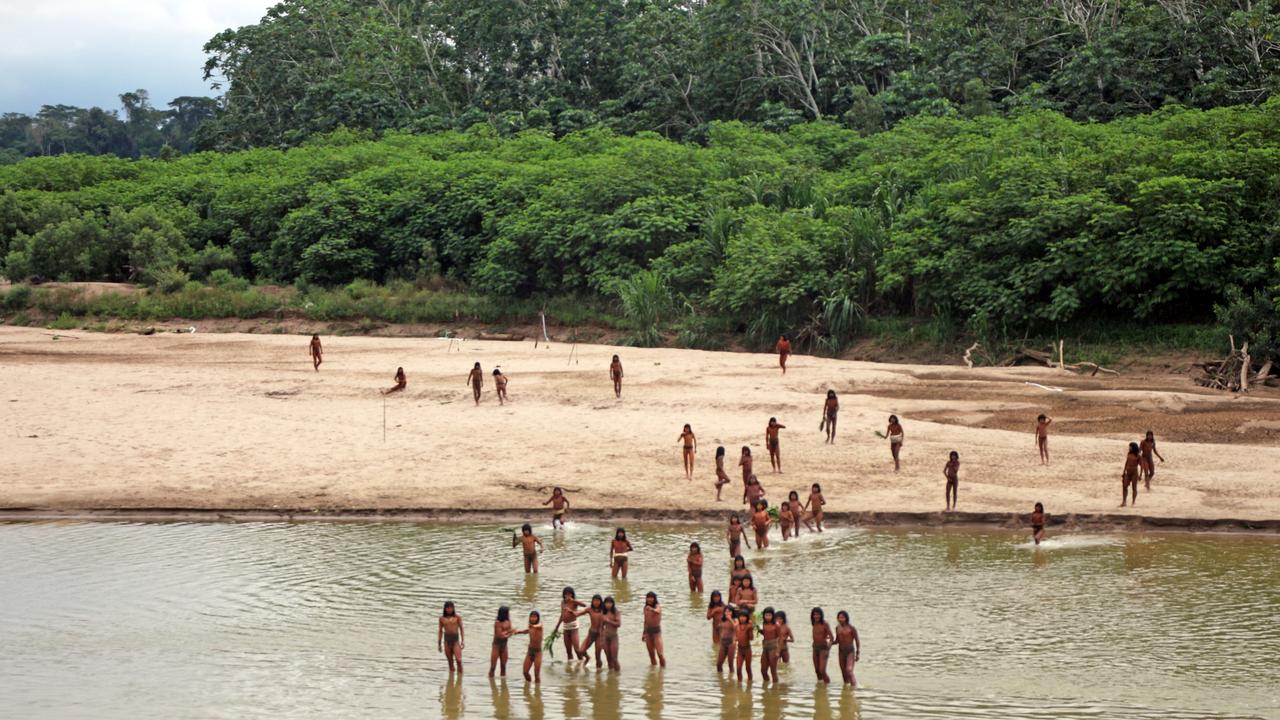 The Mashco Piro gather on the banks of the Las Piedras river in Peru on July 17. Picture: Survival International