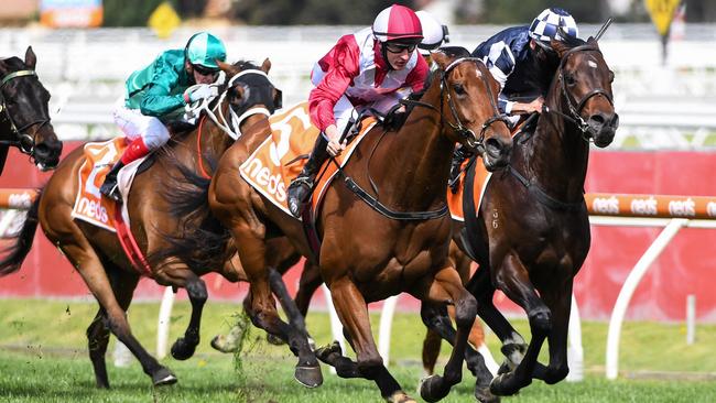 Arcadia Queen dashes past Russian Camelot in the Caulfield Stakes. Photo: Natasha Morello/Racing Photos via Getty Images