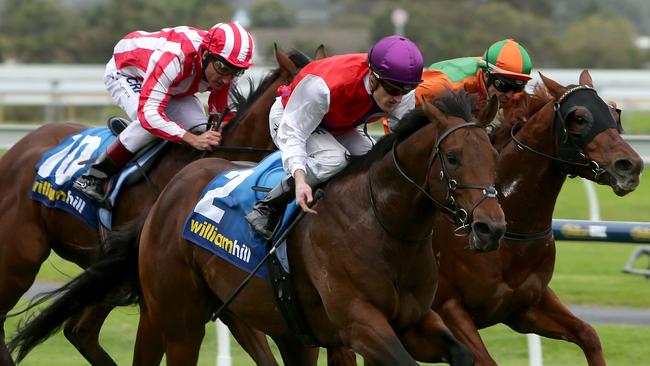 9.5.2015.Race 6 Morphettville, Queen Of The South Stakes. Won by No2 ' Nicoscene' jockey Mark Zahra. pic tait schmaal.