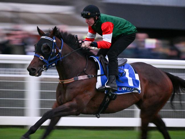 MELBOURNE, AUSTRALIA - OCTOBER 10: Damian Lane riding Amelia's Jewel during a trackwork session at Caulfield Racecourse on October 10, 2023 in Melbourne, Australia. (Photo by Vince Caligiuri/Getty Images)