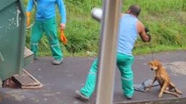 Brazilian garbage man abuses dog. Picture: Facebook/Xuxa