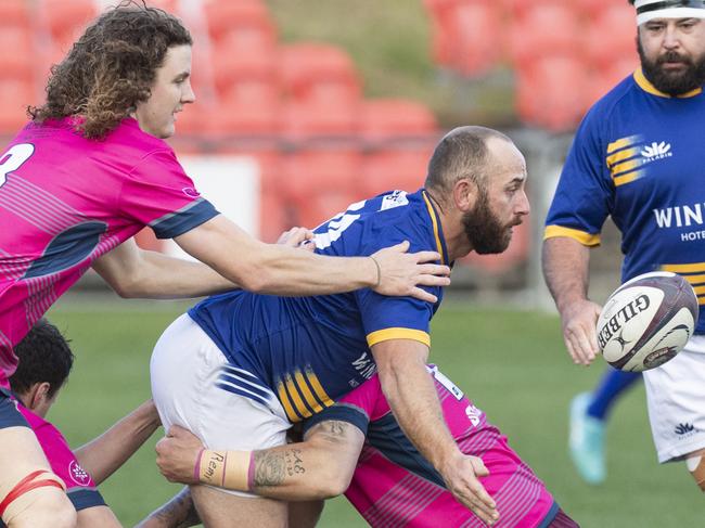 GALLERY: Toowoomba Bears cut down Wheatmen in rugby thrillers