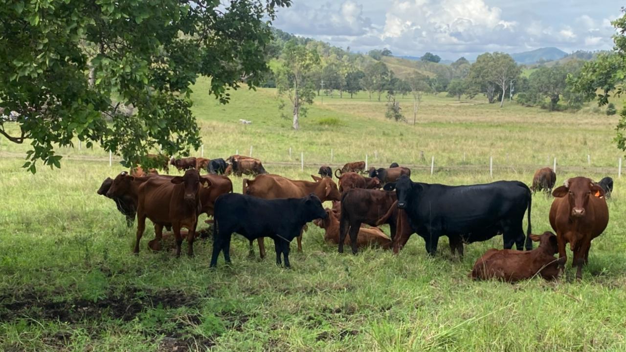 It’s time for a Labor government to listen to the voices in the bush