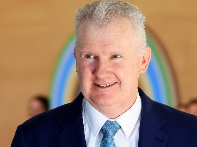 Employment Minister Tony Burke welcomed the decision. Picture: NCA NewsWire / Jenny Evans