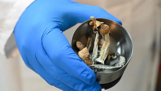 Psilocybin, or magic mushrooms. File image. Picture: Filem Robyn Beck/AFP