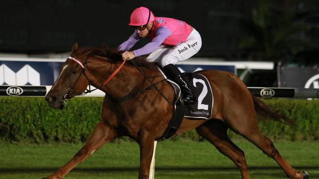 Oxford Tycoon drops back in grade and bounce back to winning form. Picture: Grant Guy