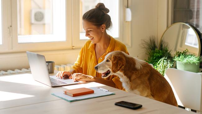 Photo of a young woman who is working from her home office, having the cutest and the cuddliest asistent - her pet dog