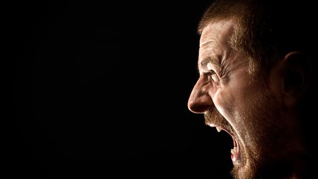 IN COURT: The Warwick man pleaded guilty to wilful damage and using a carriage service to menace, harass, or cause offence in court. Picture: iStock / file
