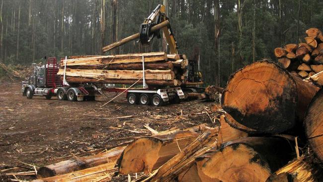 Losing access: Legal action by green groups is locking loggers out of Central Highland coupes, such as this one in the Toolangi state forest.