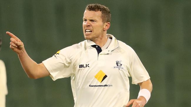 Victorian paceman Peter Siddle celebrates taking the wicket of Tasmania’s Beau Webster during their Sheffield Shield match at the MCG on Wednesday night.