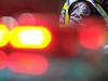 Triple-0 blowout: Territorians left waiting on hold