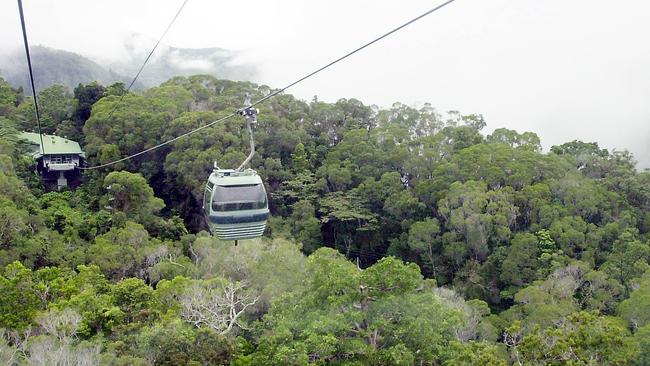 Mr Crisafulli backs building a cableway in the Gold Coast Hinterland.