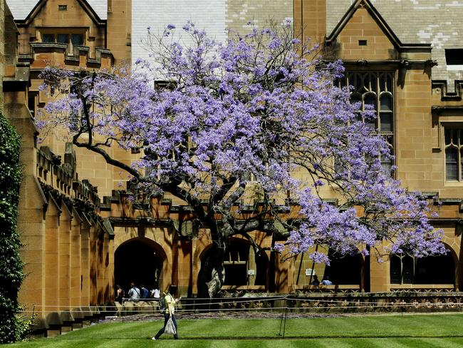 Sydney University employs activists who frequently publish articles supportive of a Palestine state and Iran, Piers Akerman says. Picture: John Appleyard