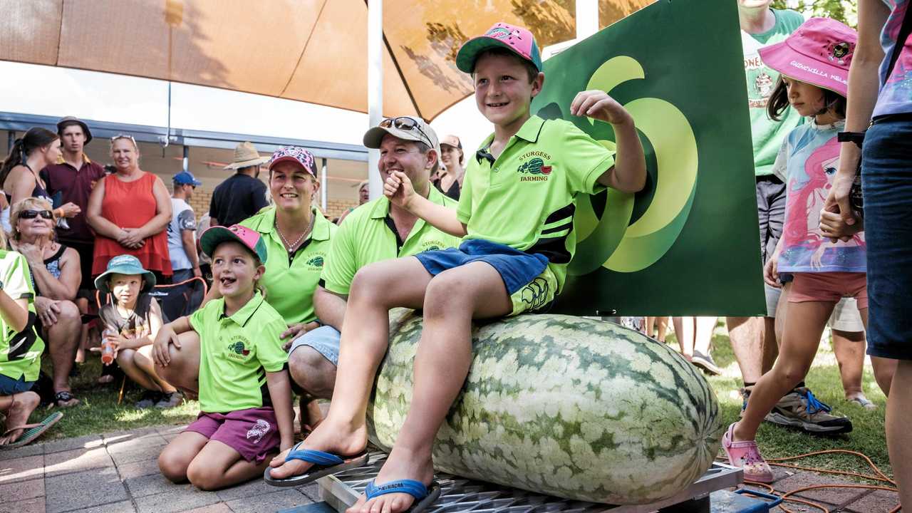 WHAT A WHOPPER: Hydie, Bec, Kyron and Drew Sturgess with their 75kg champion melon at the 2017 Melon Festival. Picture: Matthew Newton