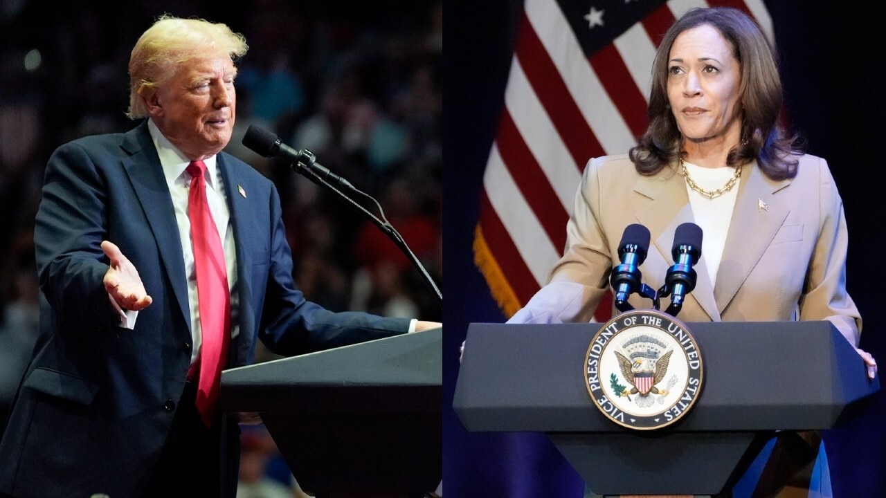 Donald Trump exposes himself to ‘hostile interviews’ while Kamala Harris shies away